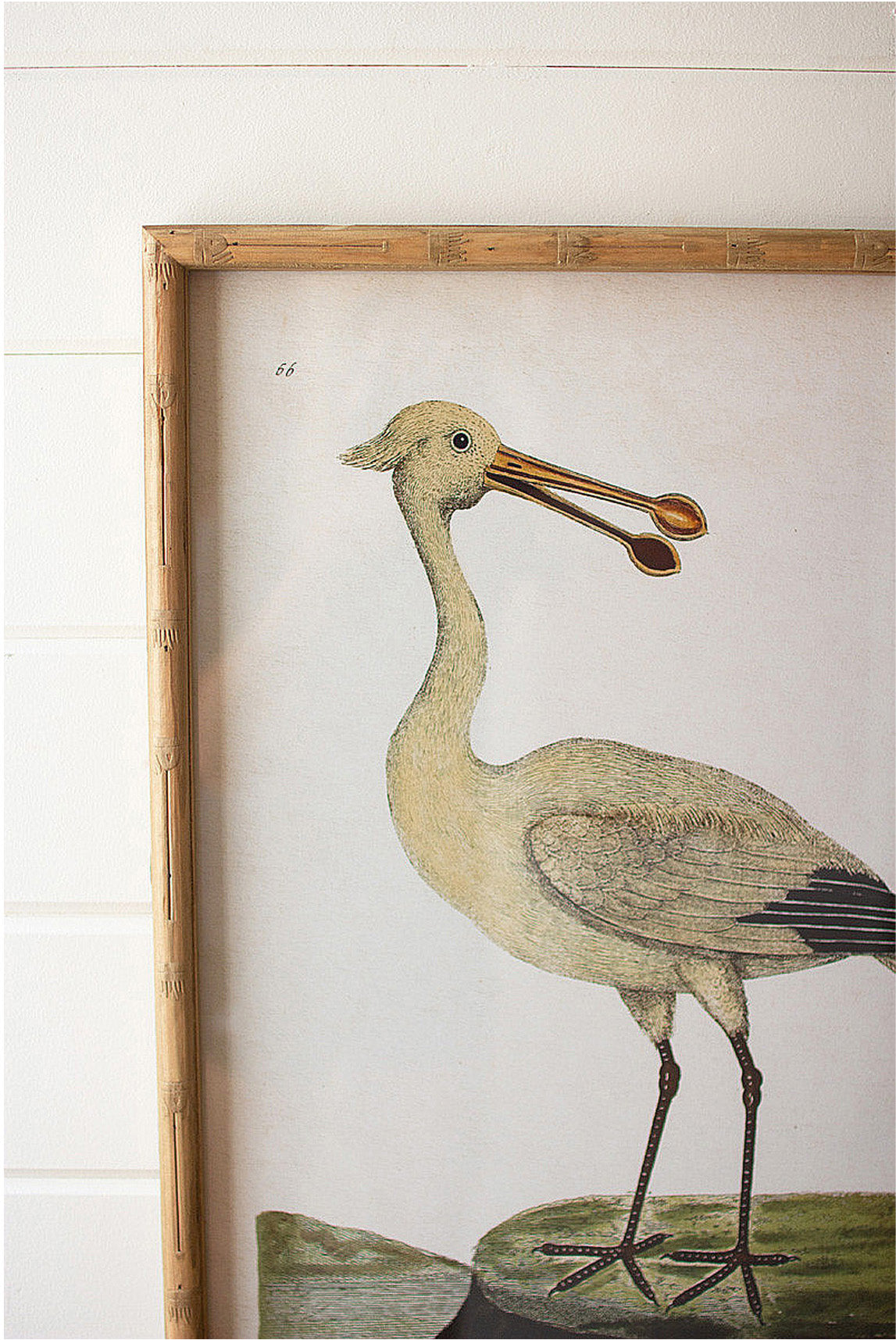 Framed Shorebirds Coastal Beach House Bird Wall Art - Set of 2