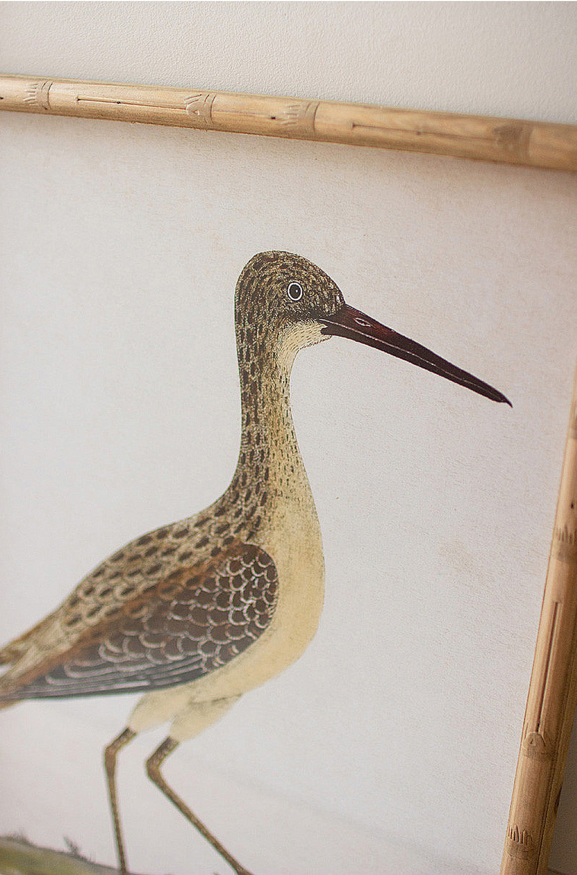 Framed Shorebirds Coastal Beach House Bird Wall Art - Set of 2