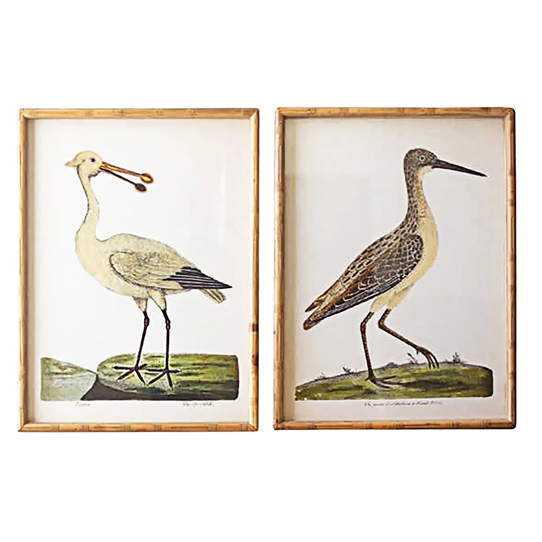Framed Shorebirds Coastal Beach House Bird Wall Art - Set of 2