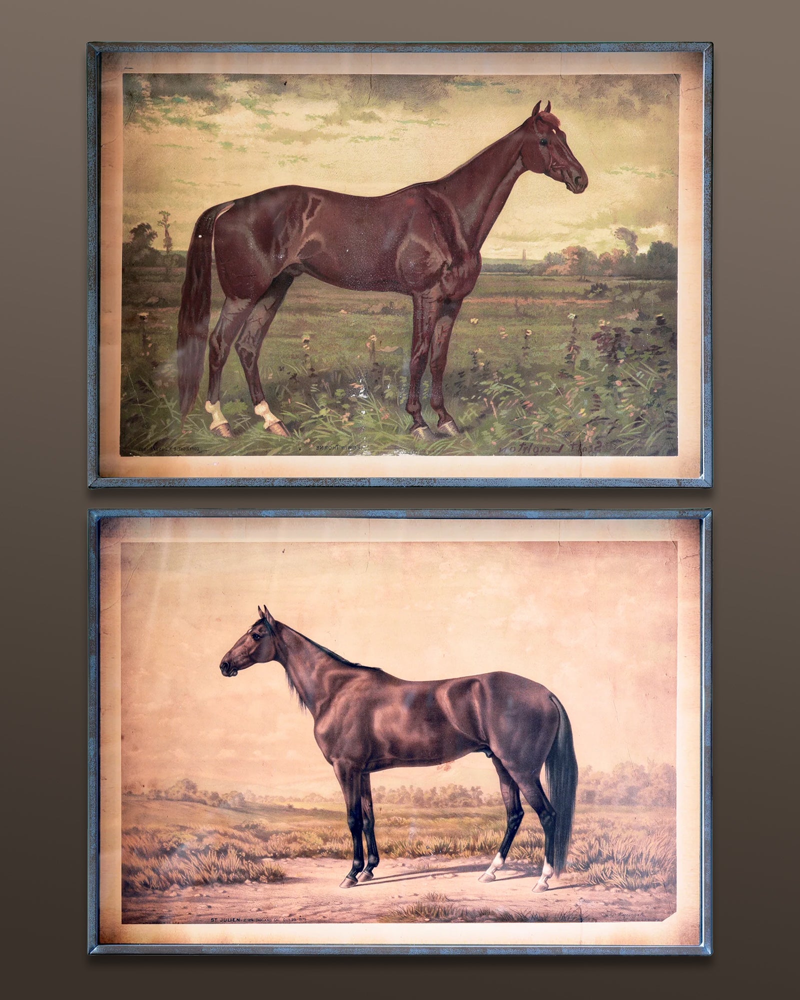 Horse Illustration Equestrian Wall Art Prints in Rustic Metal Frames - Set of 2