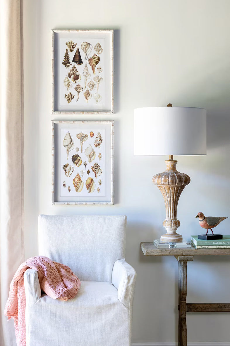 Seashell Coastal Beach Shell Wall Art Set