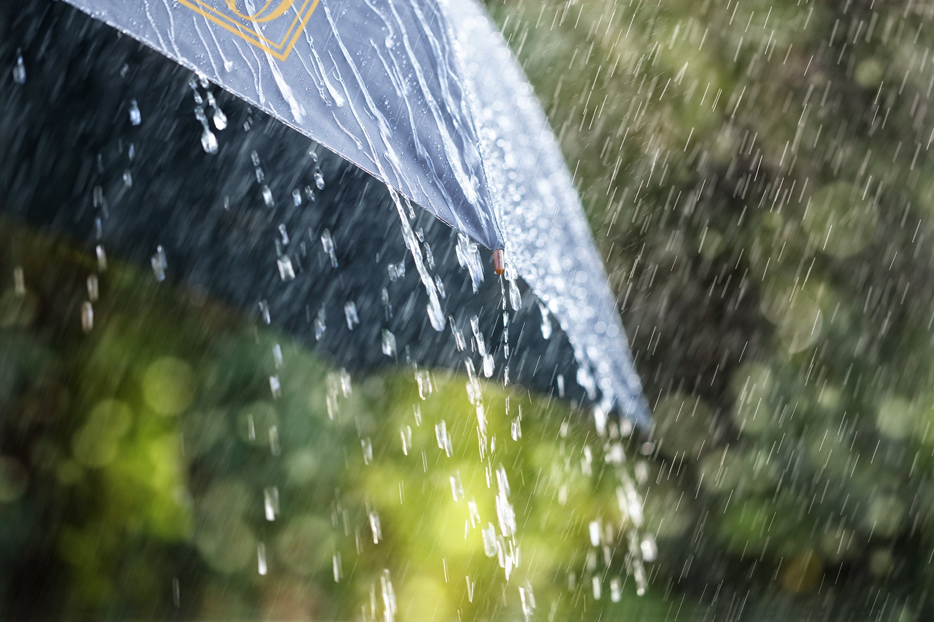 Woodwaves 30th Anniversary Navy Blue Wood Handle Auto Open Umbrella