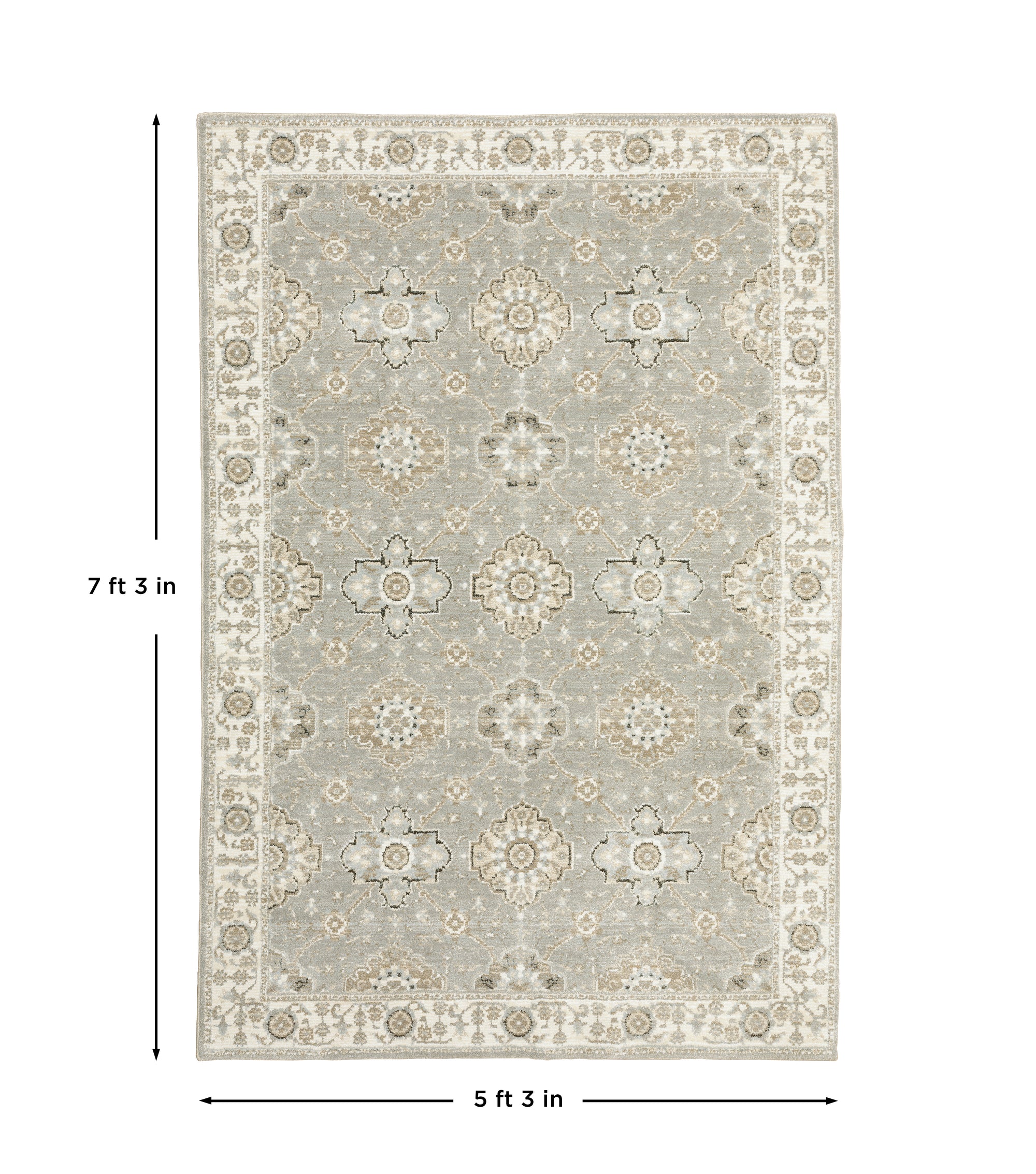 Grey Ivory Tan Brown Gold  Traditional Vintage Bohemian Area Rug