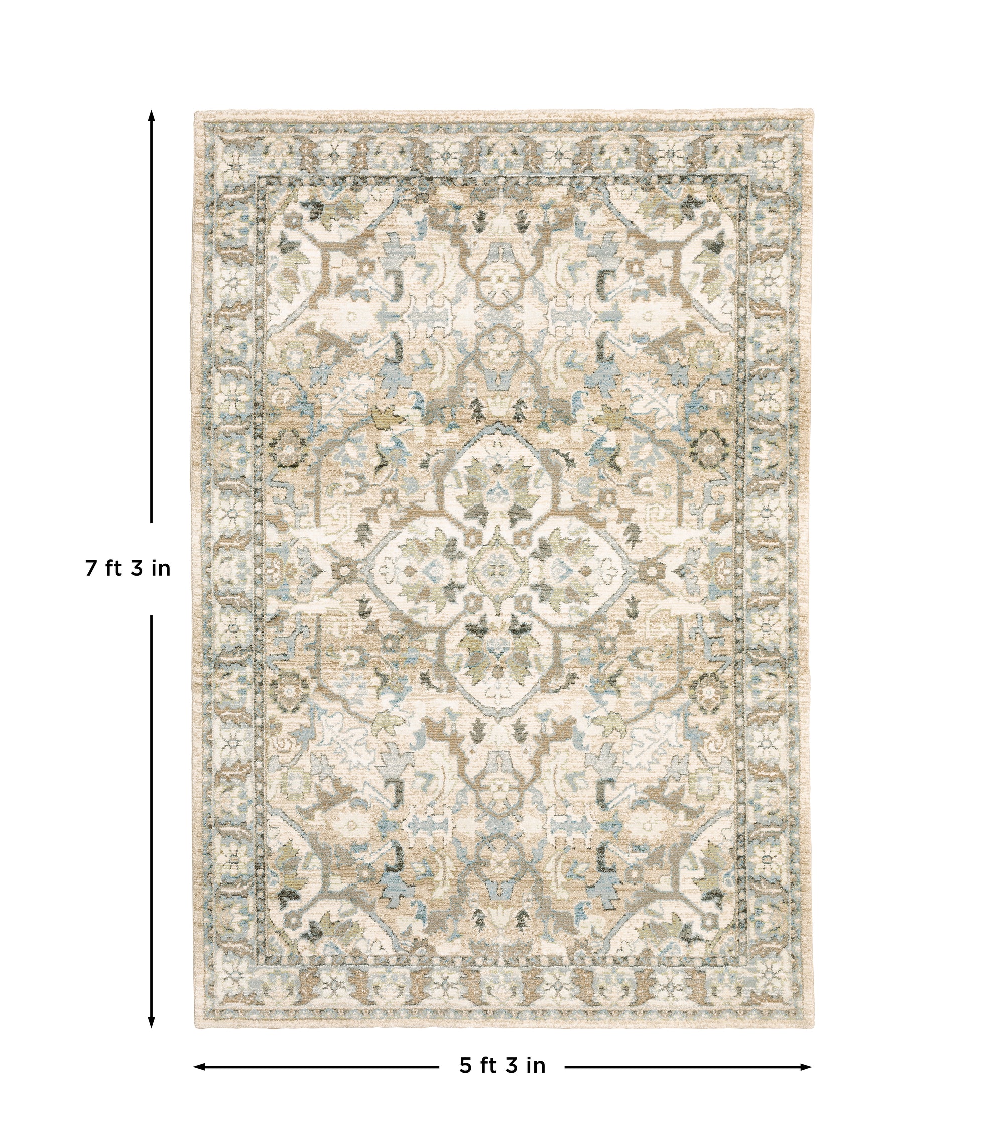 Beige Ivory Traditional Vintage Bohemian Area Rug