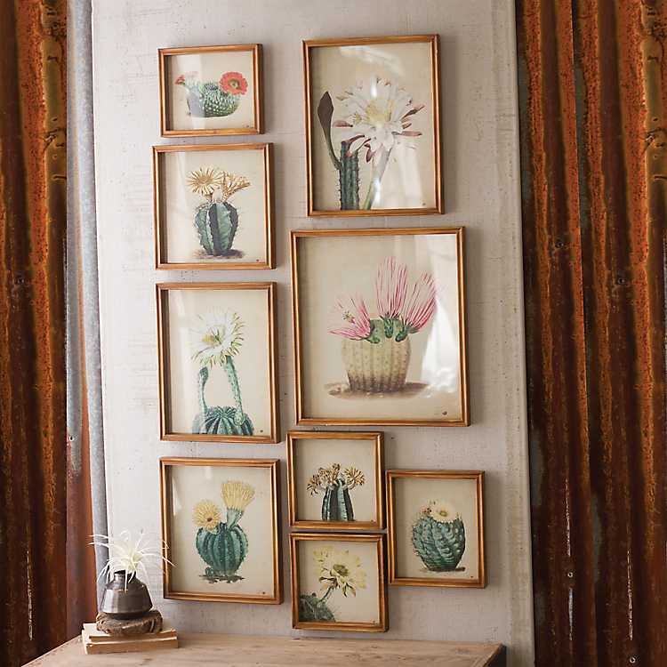 Framed Cactus Flower Prints Southwestern Wall Art - Set Of  9
