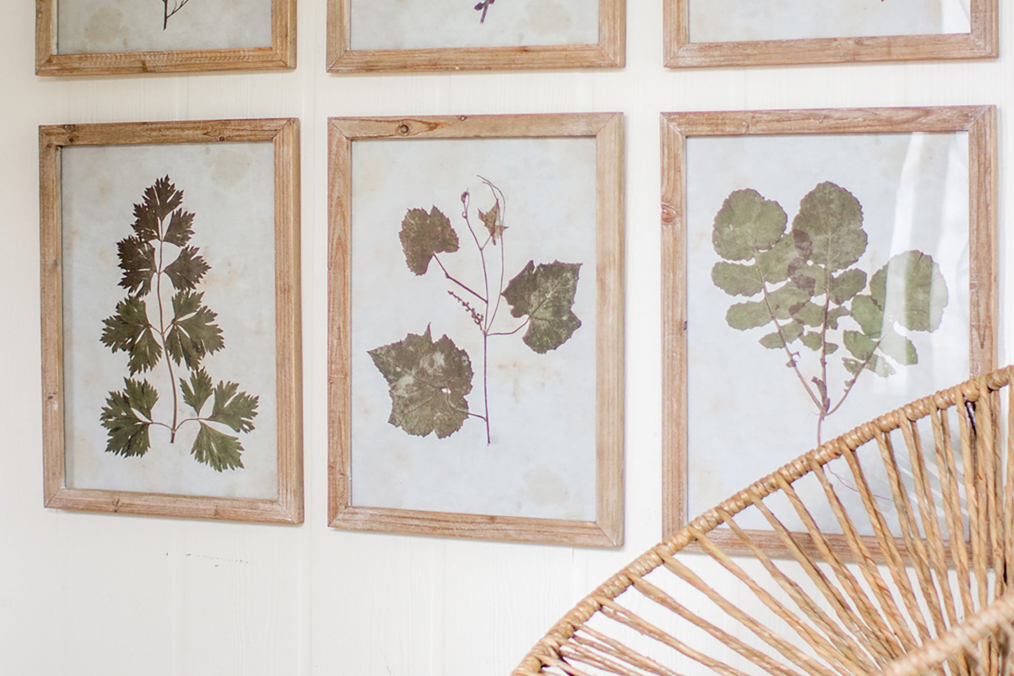 Botanic Leaf Prints With Rustic Wood Frames - Set of 6 - Woodwaves