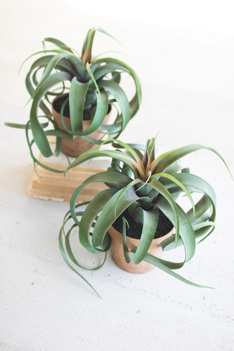 Faux Air Plants on Twigs, 101 Fake Plants That Look So Real, You May Have  to Do a Double Take