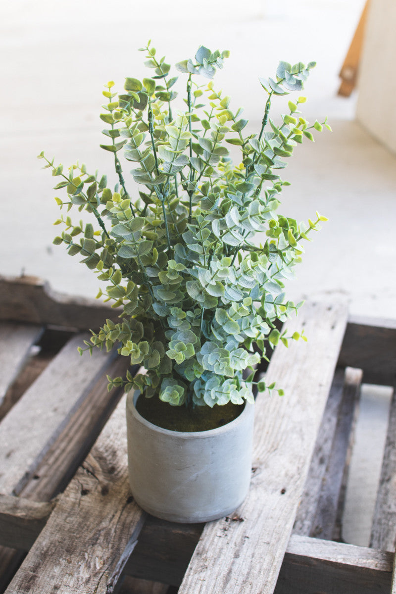 faux plant grey pot Artificial Faux Boxwood Plant In Cement Pot