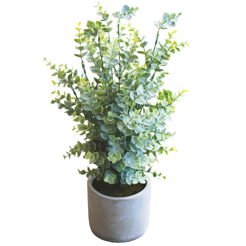 Artificial Faux Boxwood Plant In Cement Pot