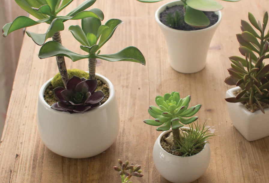 Set of 5 Artificial Succulents With Pots