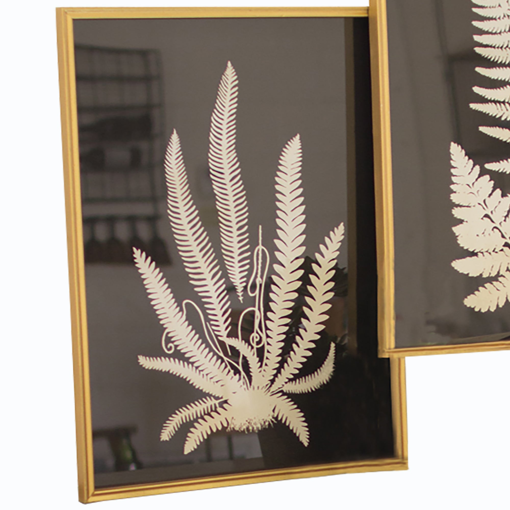 Black and White Framed Fern Plant Prints - Set of 2