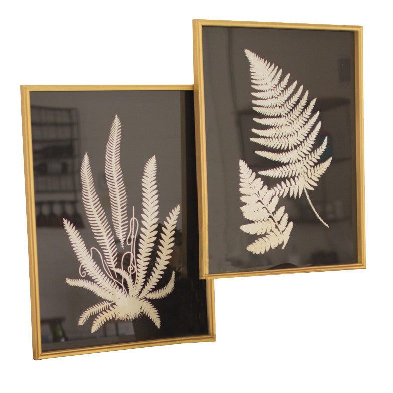 Black and White Framed Fern Plant Prints - Set of 2