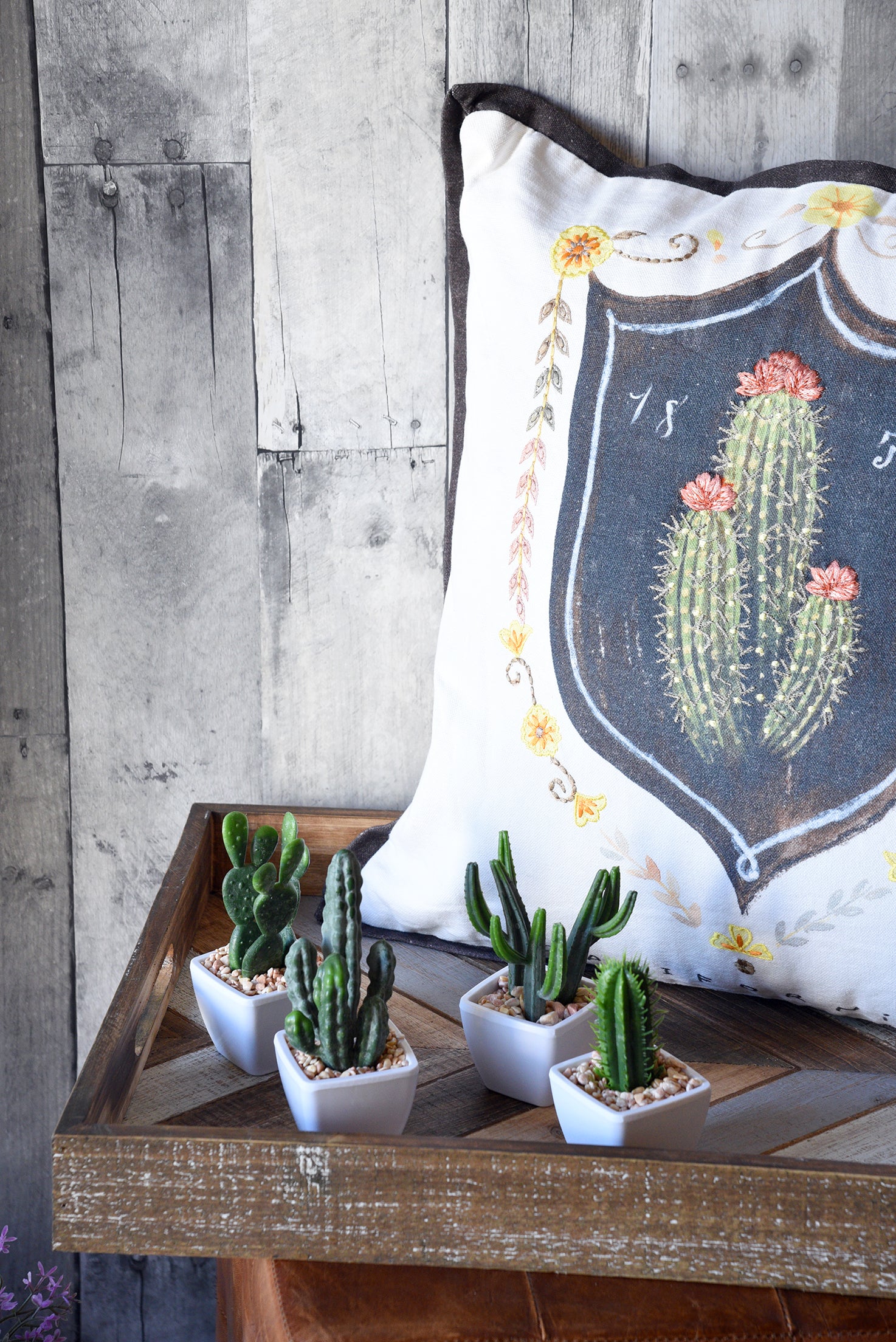 Boho Southwest California Cactus Succulent Pillow