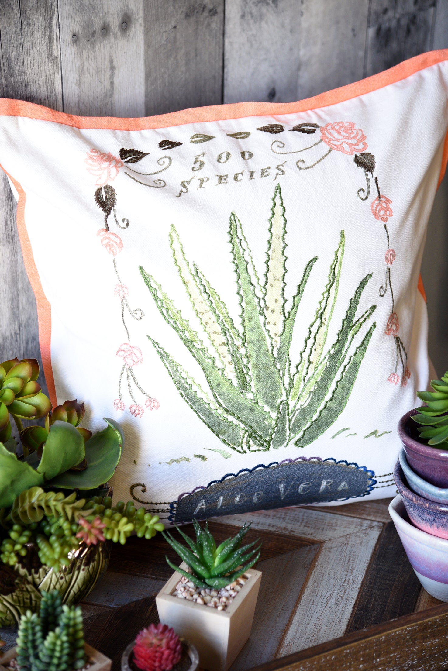 Cactus Succulent Boho Southwest Pillow Woodwaves
