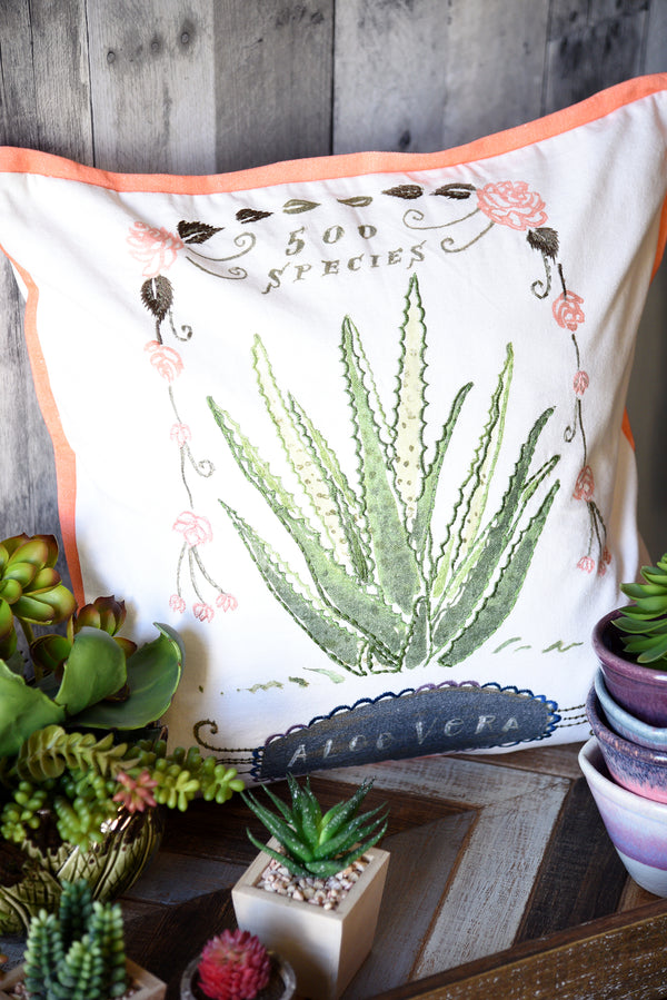 Pillow cactus sale