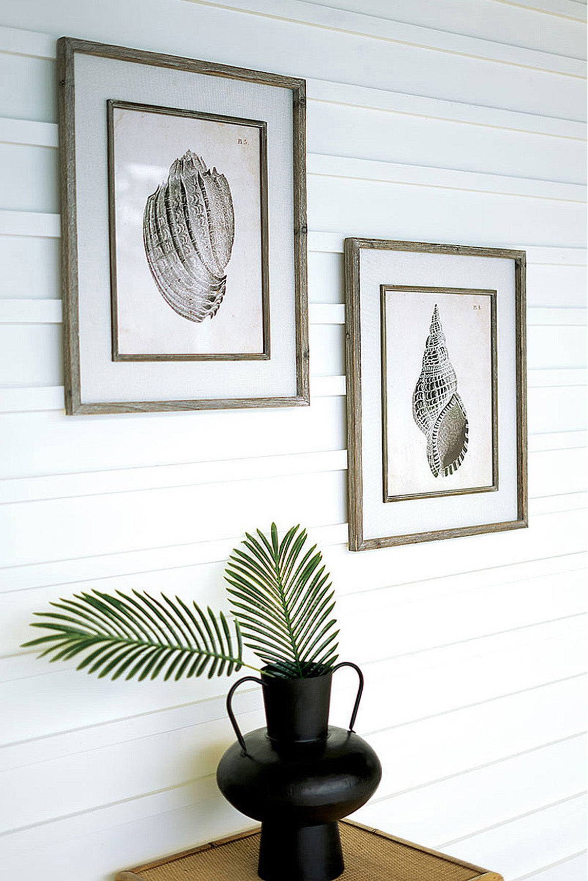 Framed Black & White Sea Shell Prints Coastal Beach House Wall Art - Set of 2