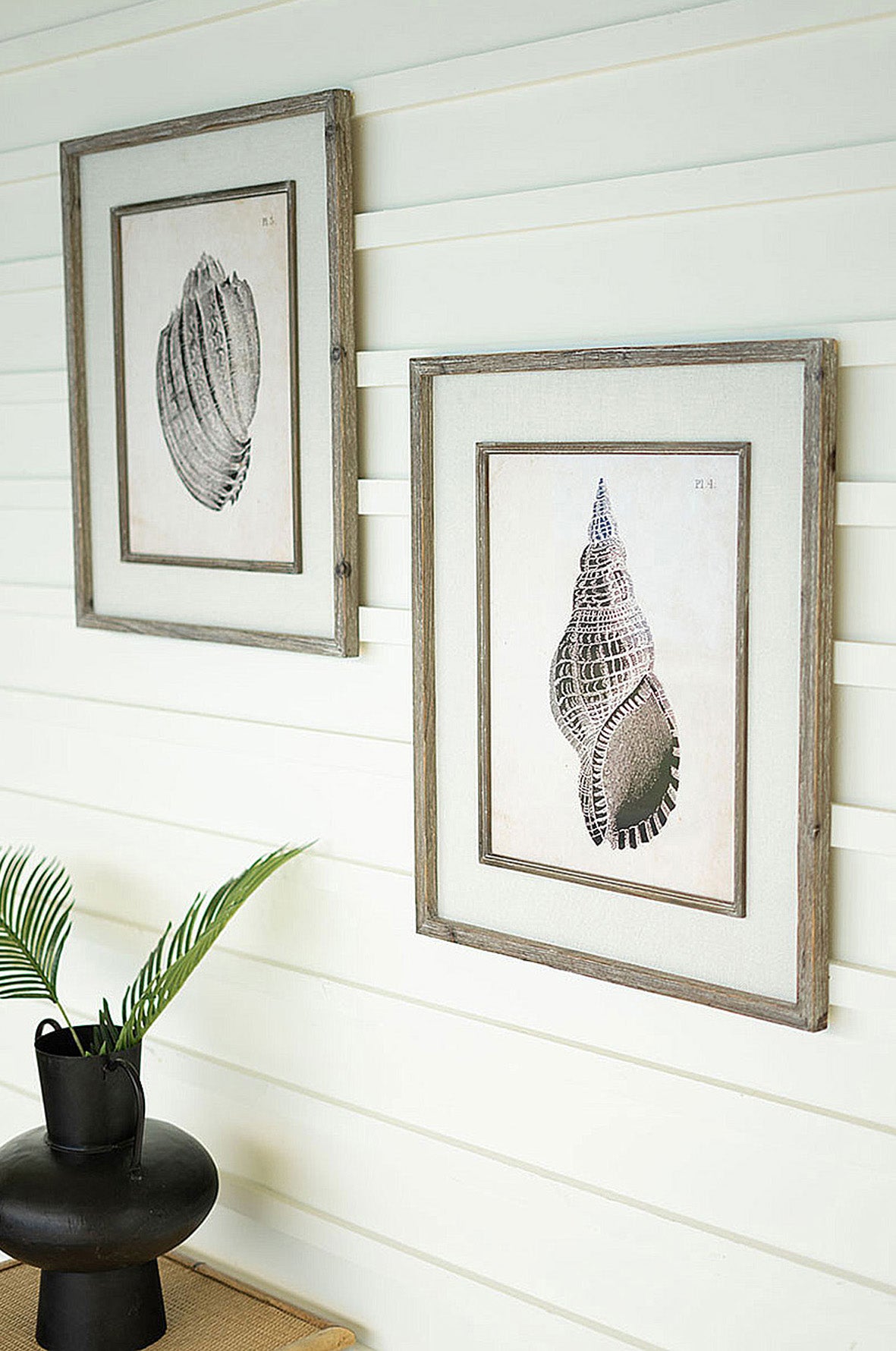 Framed Black & White Sea Shell Prints Coastal Beach House Wall Art - Set of 2