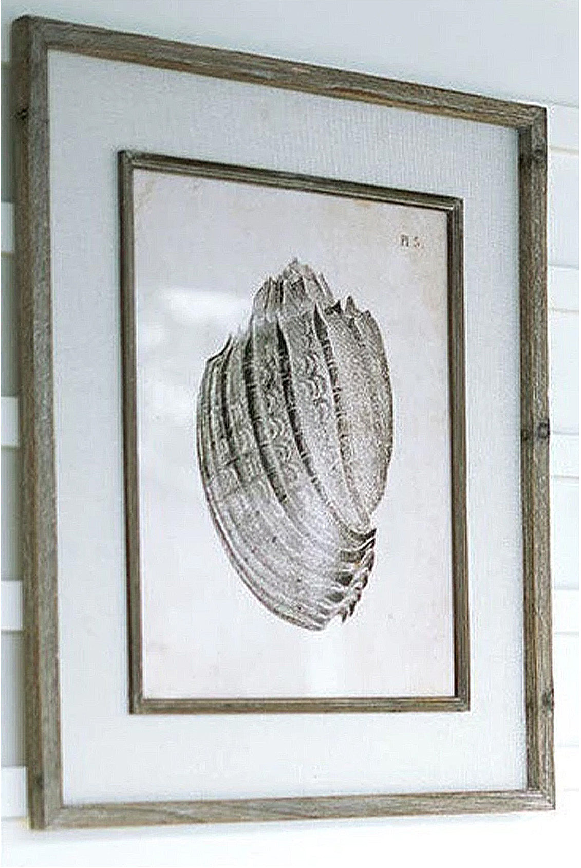 Framed Black & White Sea Shell Prints Coastal Beach House Wall Art - Set of 2