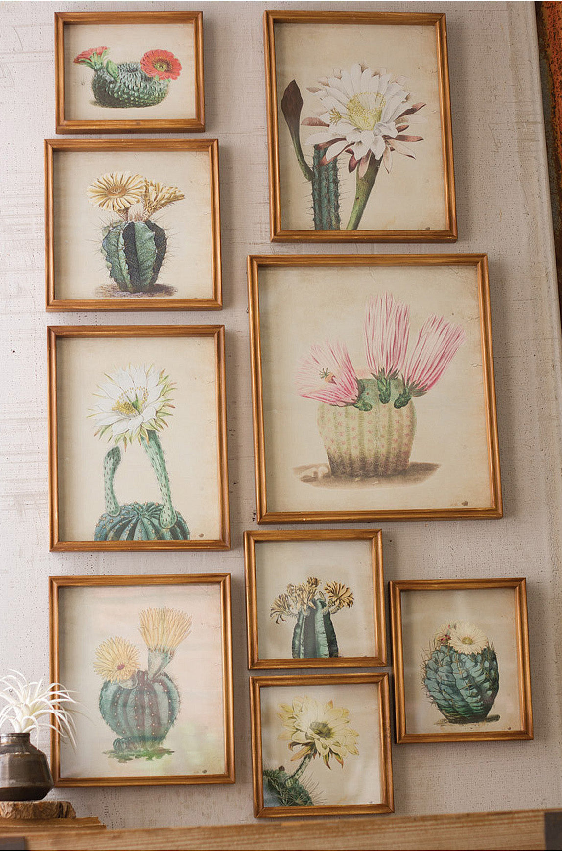 Framed Cactus Flower Prints Southwestern Wall Art - Set Of  9