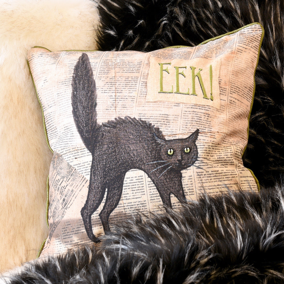 Black Cat Pillow