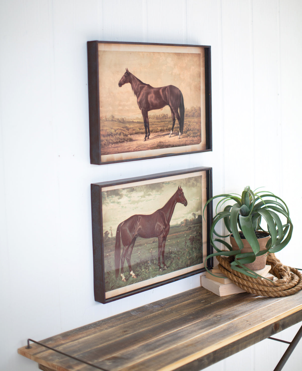 Horse Illustration Equestrian Wall Art Prints in Rustic Metal Frames - Set of 2