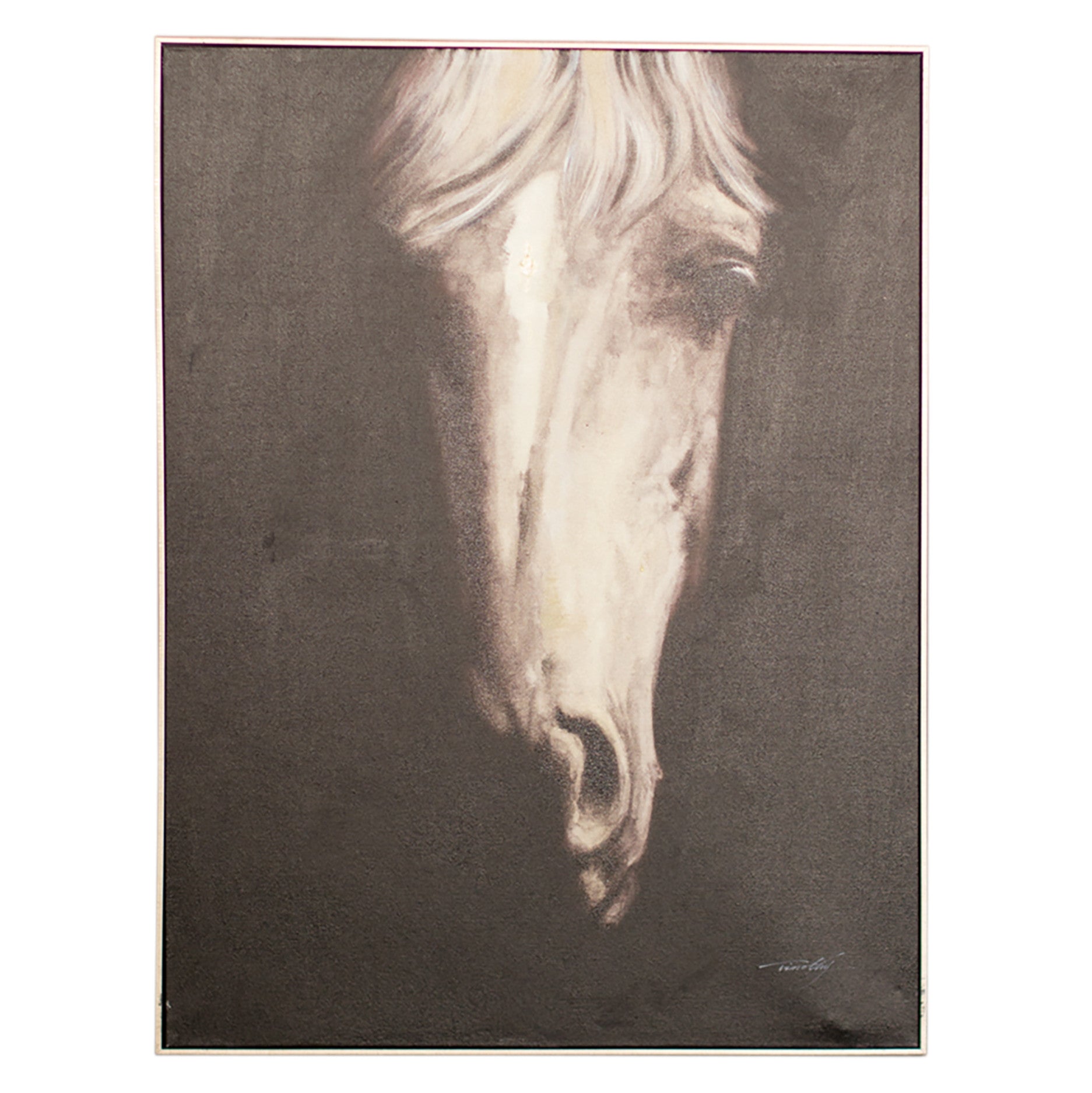 Black and White Horse Face Oil Painting With Silver Frame