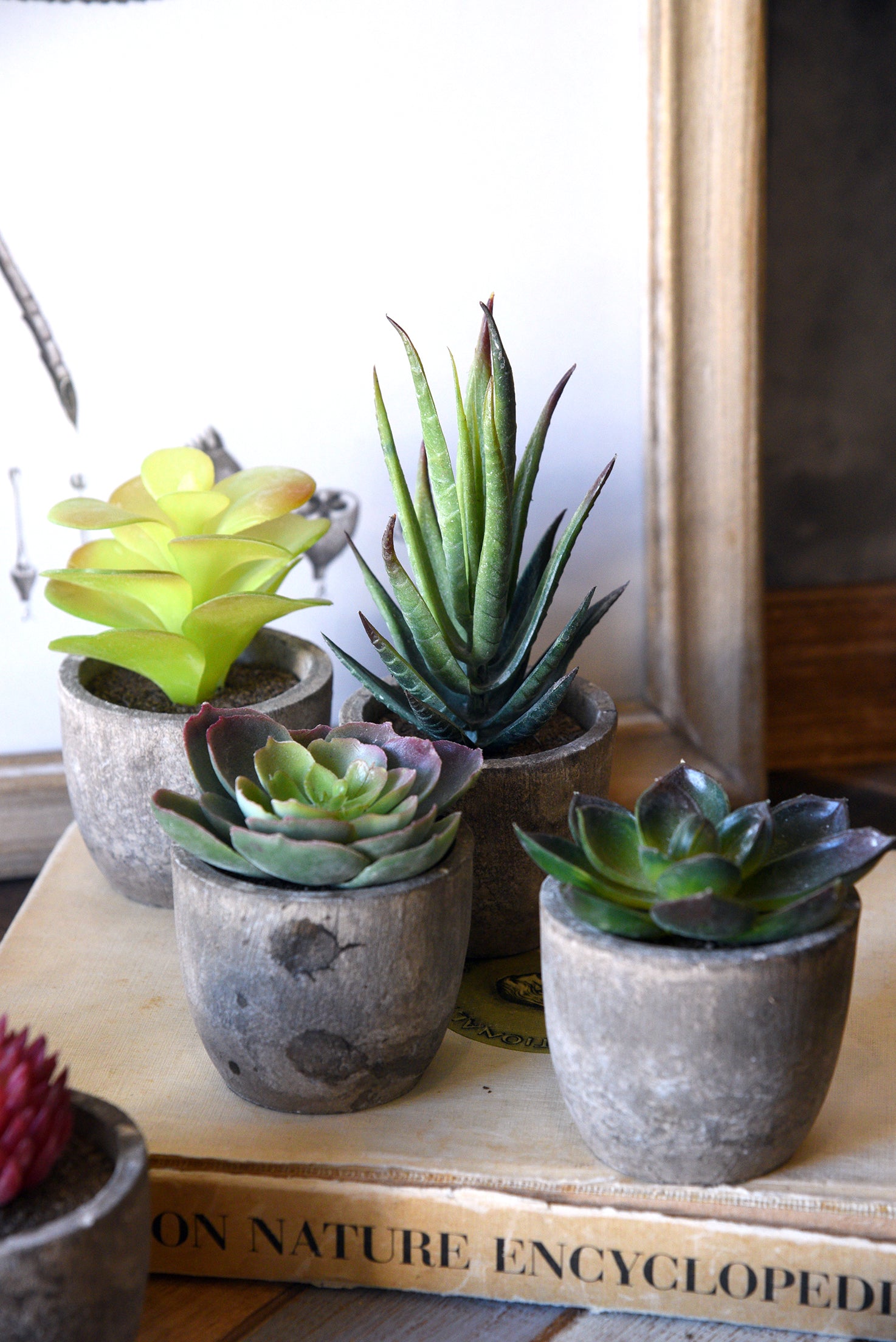 Modern Mini Artificial Succulent Plants in Pots - Set of 8