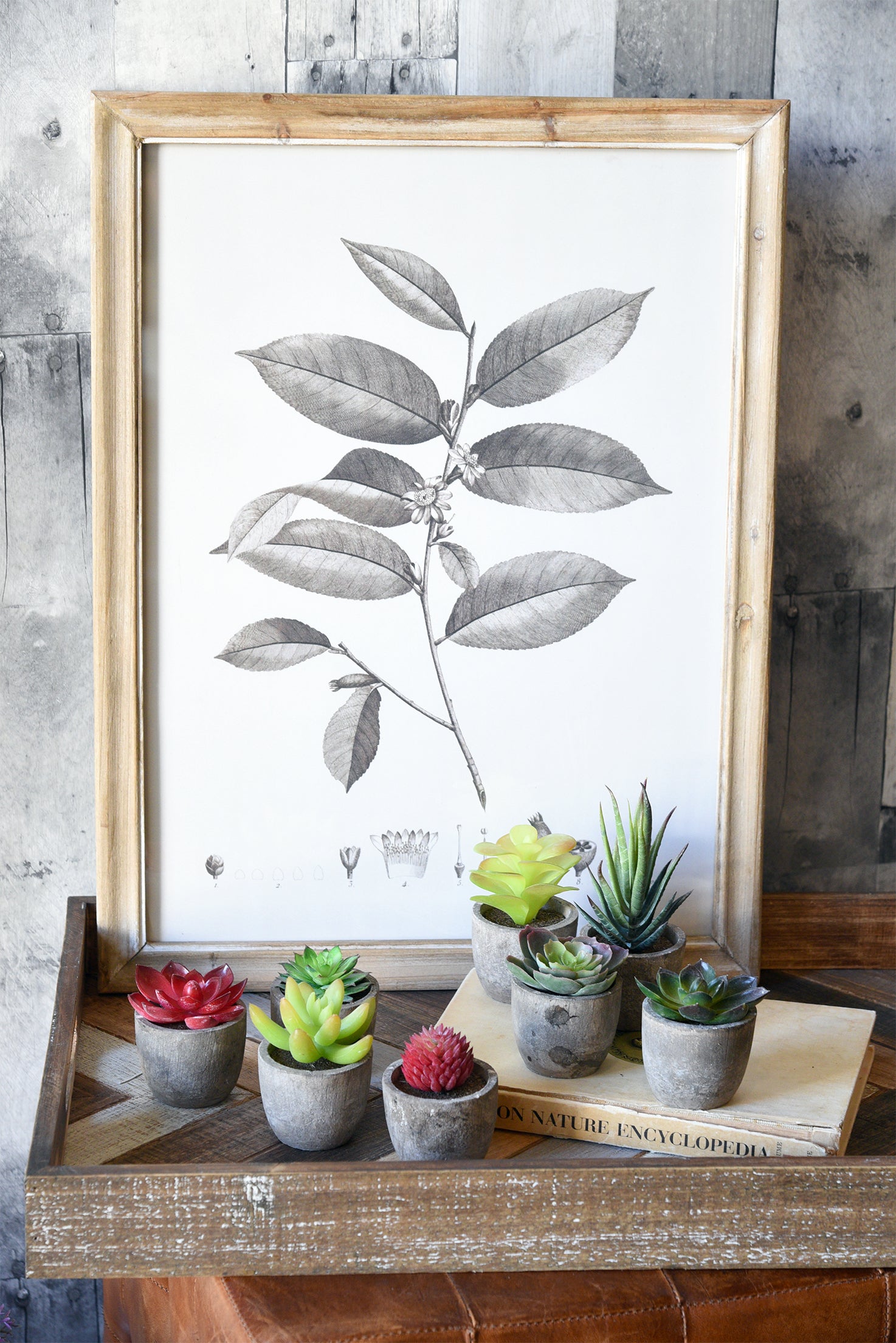 Modern Mini Artificial Succulent Plants in Pots - Set of 8