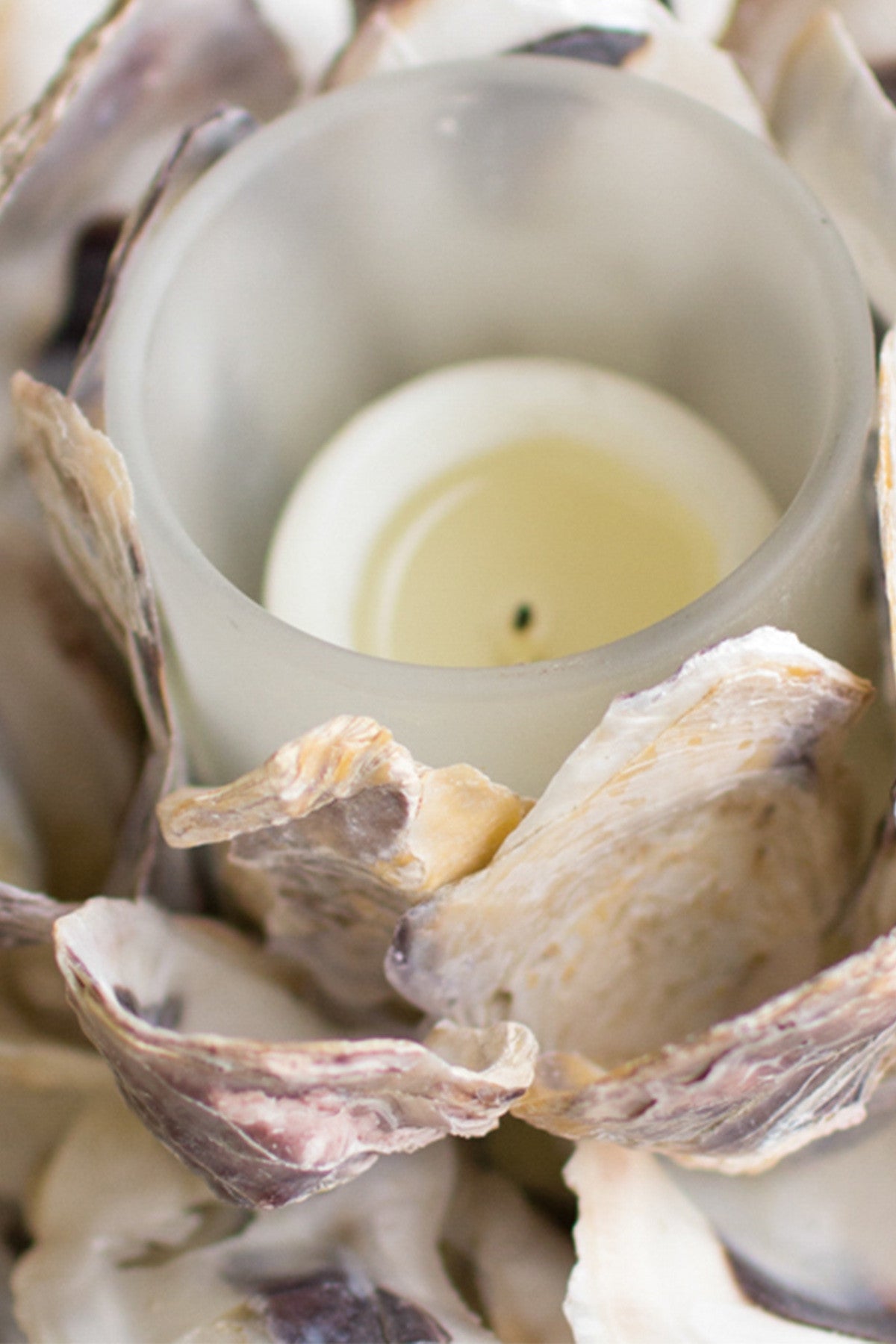 Oyster Shell Votive Tealight Candle Holders - Set of 4