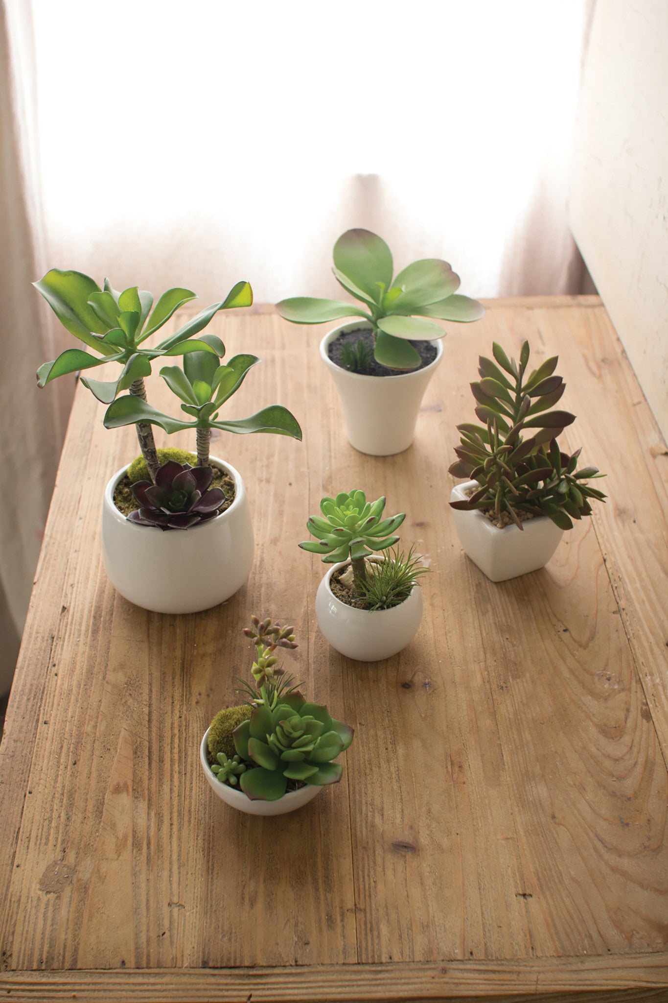 Set of 5 Artificial Succulents With Pots
