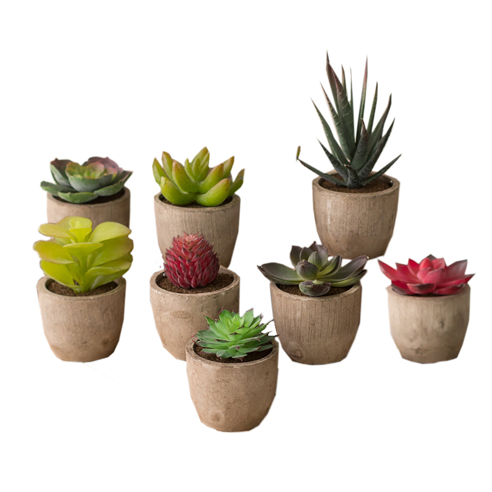 Modern Mini Artificial Succulent Plants in Pots - Set of 8