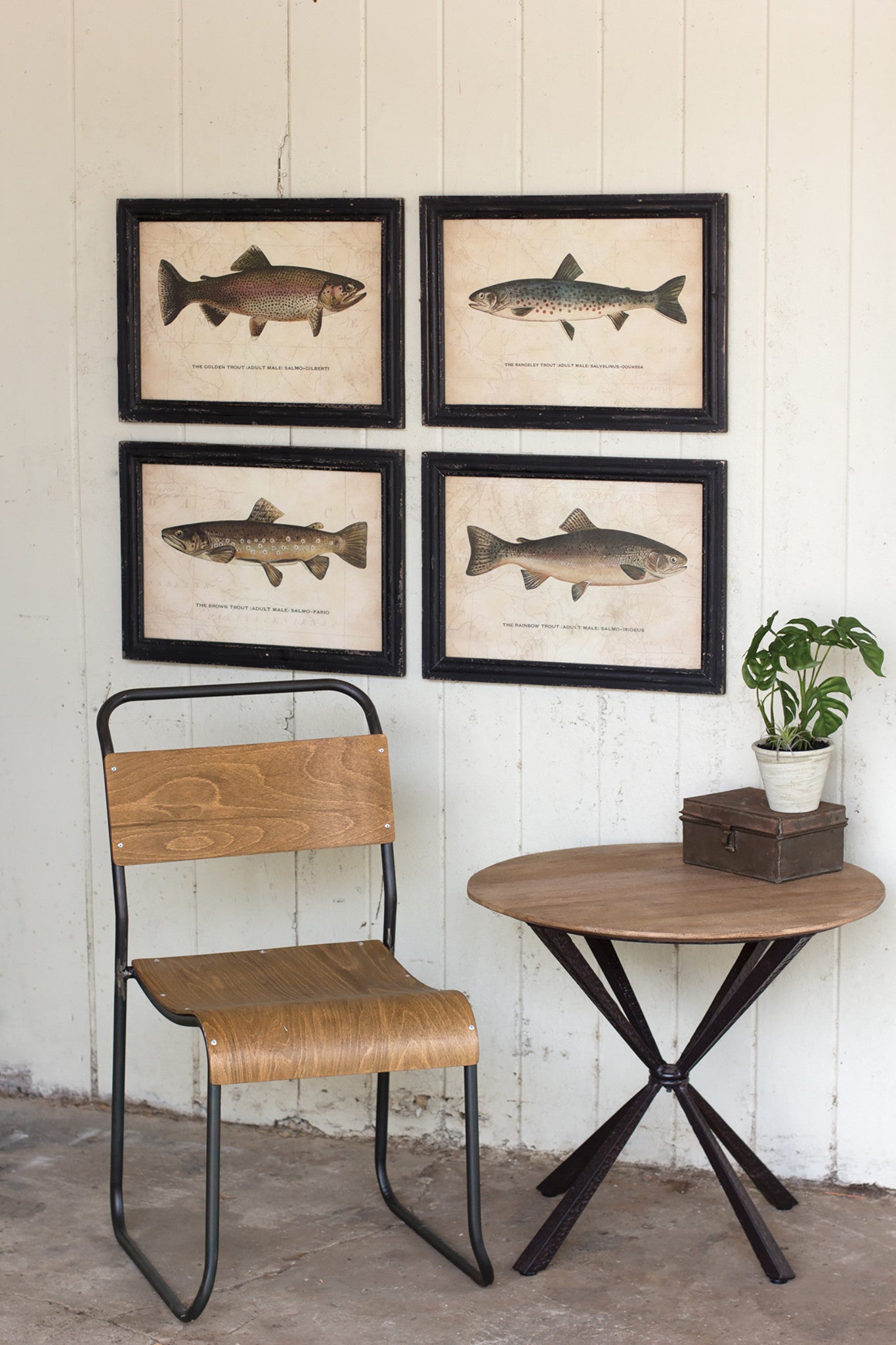 Framed Trout Fish Wall Art Set