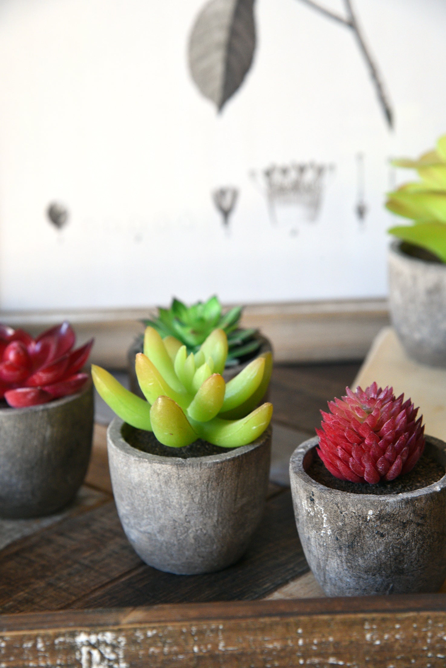 Modern Mini Artificial Succulent Plants in Pots - Set of 8