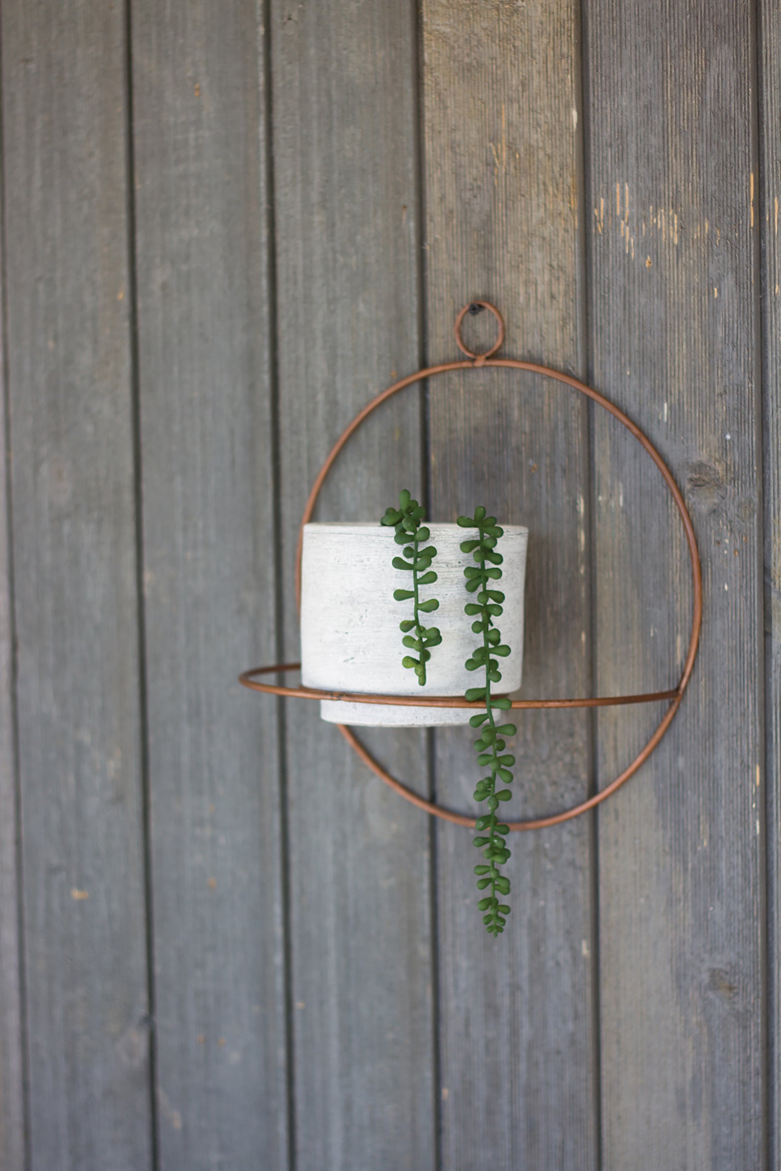 Two Southwest Boho Hanging Succulent Wall Planters With White Clay Pots