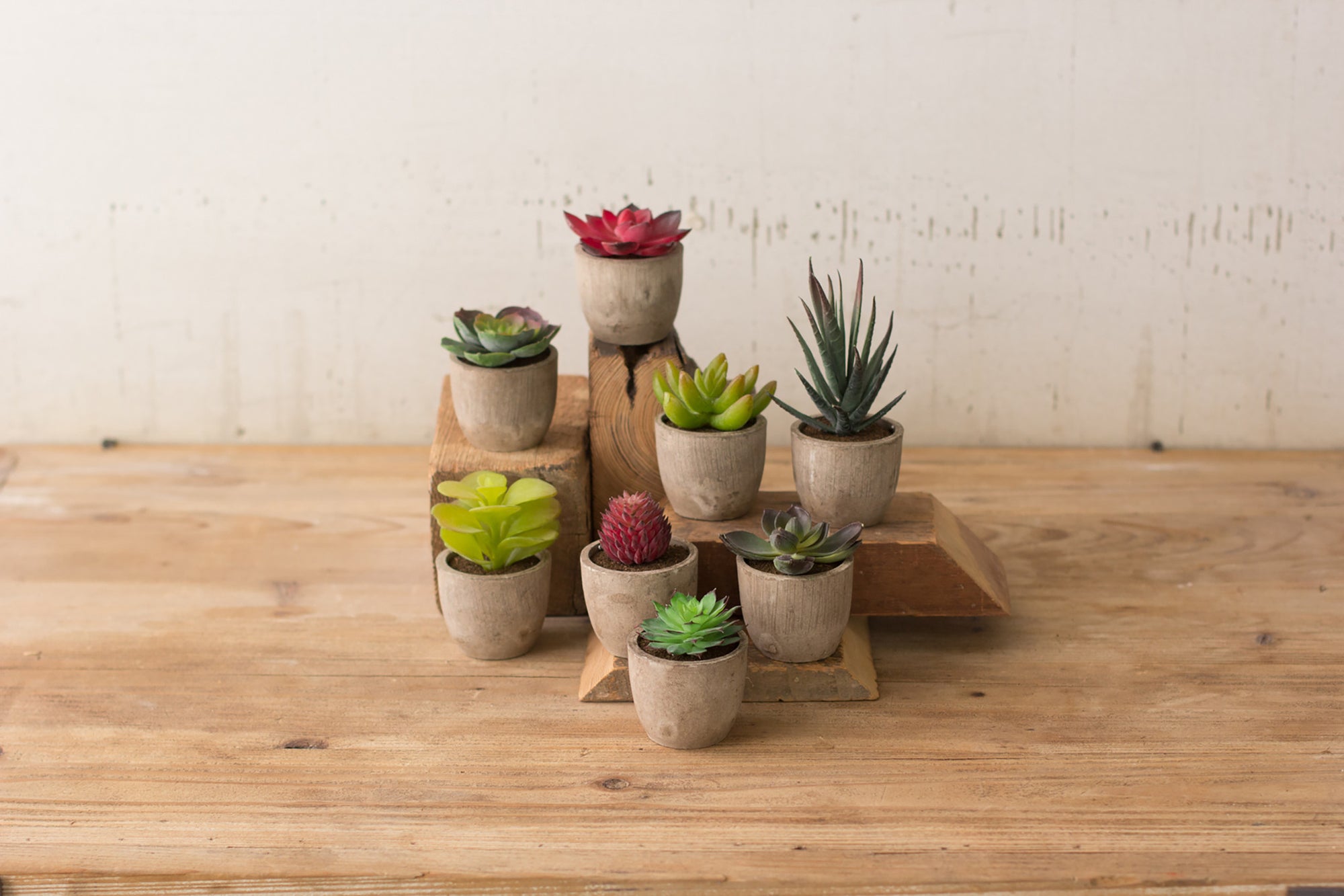 Modern Mini Artificial Succulent Plants in Pots - Set of 8