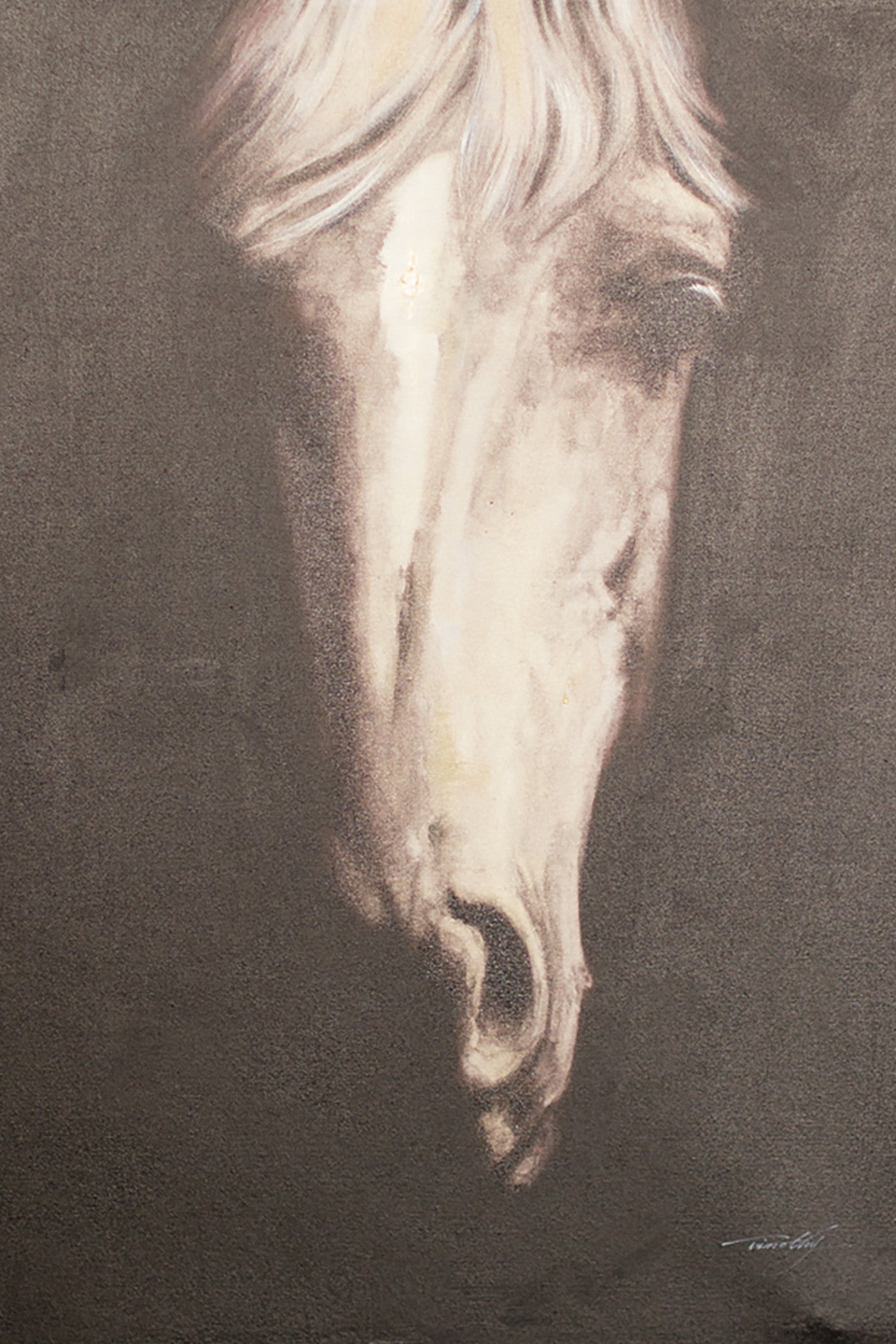 Black and White Horse Face Oil Painting With Silver Frame
