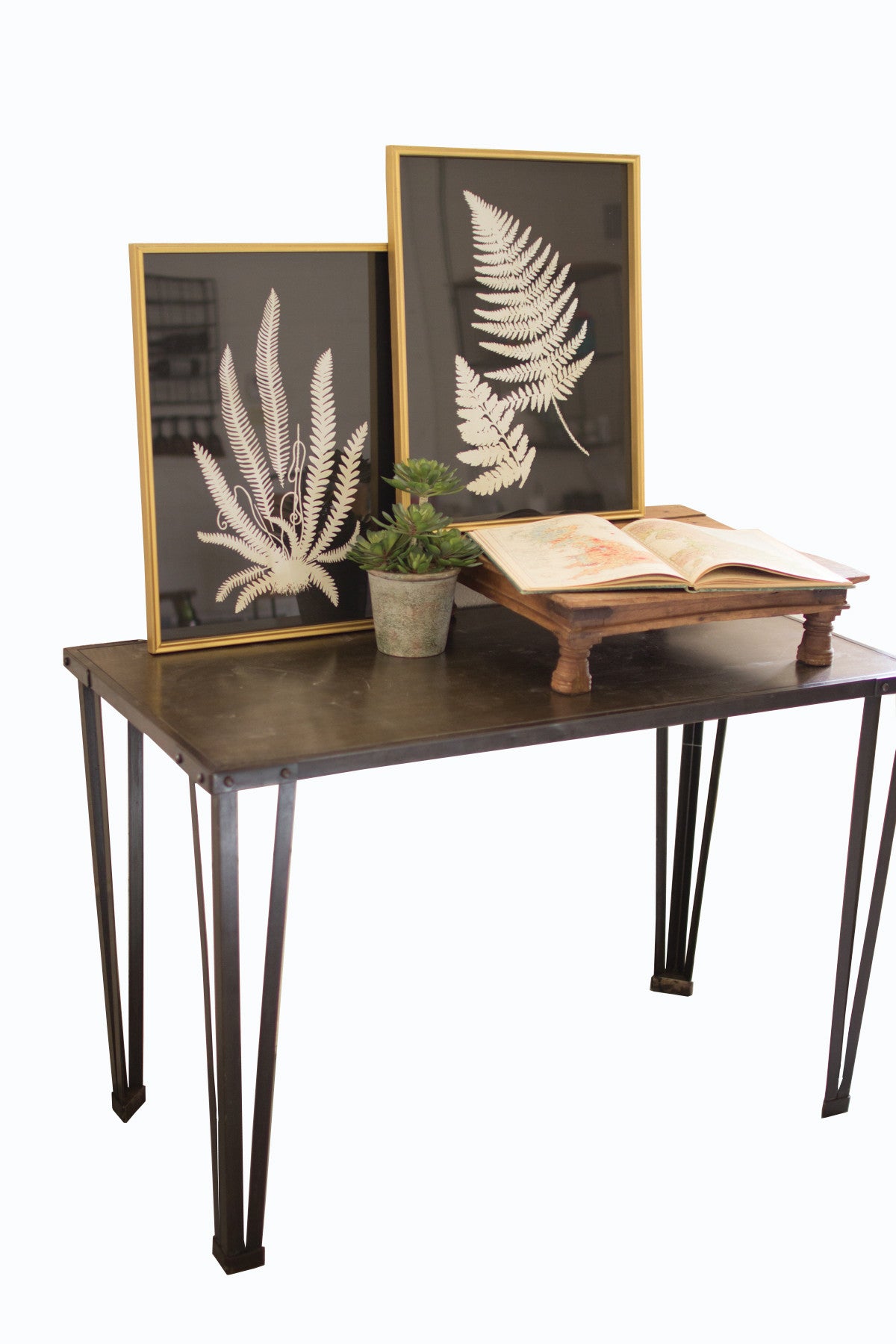 Black and White Framed Fern Plant Prints - Set of 2